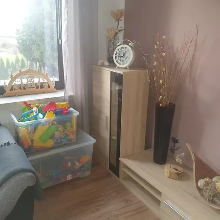 Familienfreundliche Ferienwohnung Erzgebirge Schneeberg  Eksteriør billede
