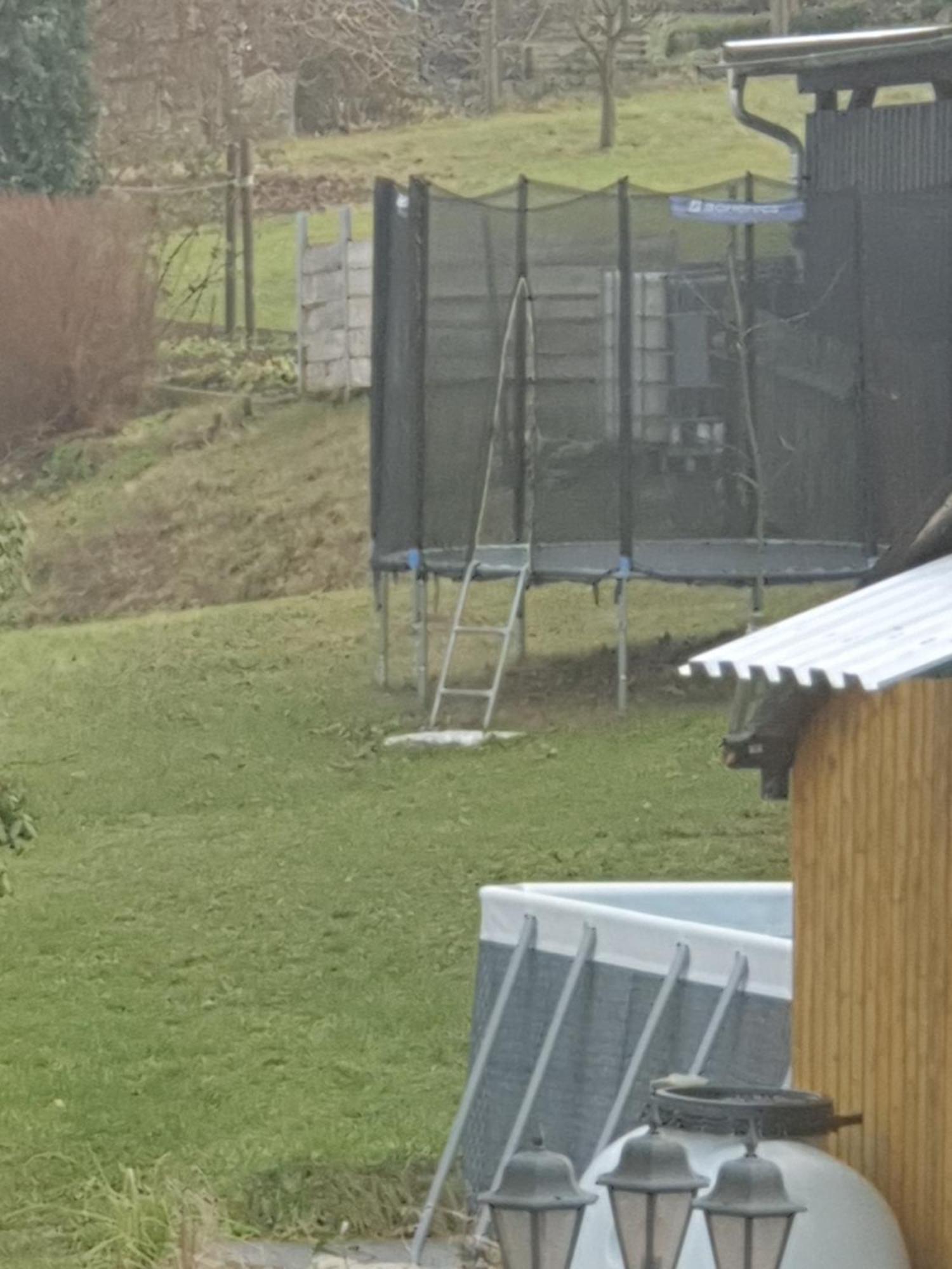 Apartment Familienfreundliche Erzgebirge Schneeberg (Saxony)